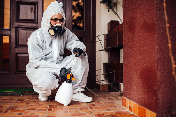 Reliable Ant Control contractor in Eclectic, AL by Show Me Pest Control